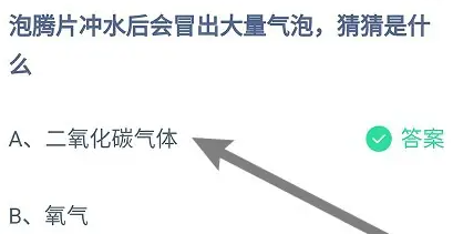 《支付宝》2024蚂蚁庄园今日最新答案汇总