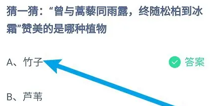 《支付宝》2024蚂蚁庄园今日最新答案汇总