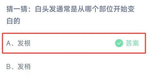 《支付宝》2024蚂蚁庄园今日最新答案汇总