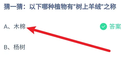 《支付宝》2024蚂蚁庄园今日最新答案汇总