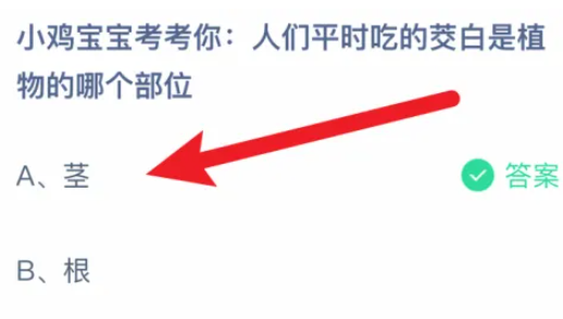 《支付宝》2024蚂蚁庄园今日最新答案汇总