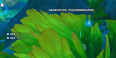 《原神》碧海撷波之章任务怎么做