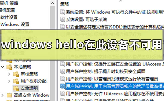 《windows》解决windows hello在此设备上不可用的办法分享